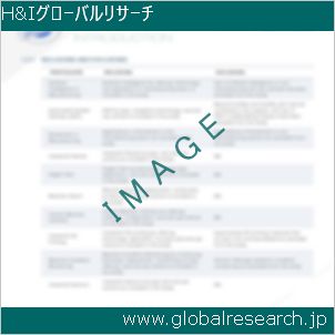 グローバルリサーチ調査レポートのイメージ